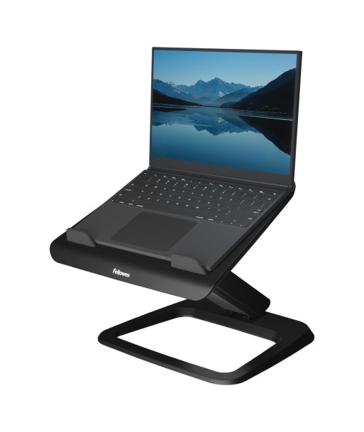 NB ACC STAND HANA LT/BLACK 100016994 FELLOWES