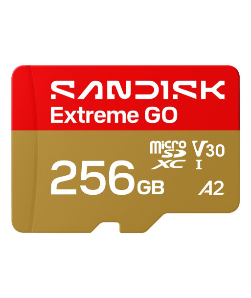 MEMORY MICRO SDXC 256GB UHS-I/SDSQXGN-256G-GN6MN SANDISK