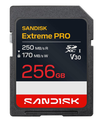 MEMORY SDXC 256GB UHS-1/SDSDXXJ-256G-GSCIN SANDISK