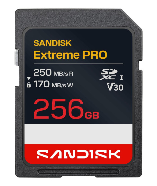 MEMORY SDXC 256GB UHS-1/SDSDXXJ-256G-GSCIN SANDISK