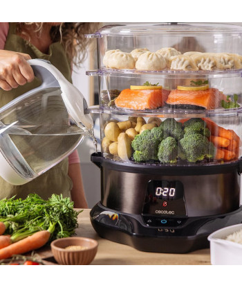 Cecotec Vapovita 3000 Pro auruti 1000W