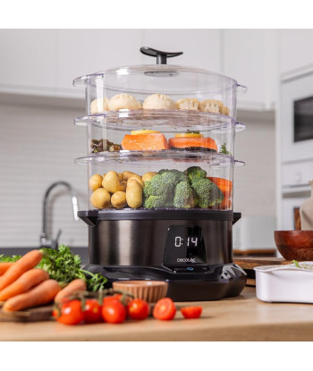 Cecotec Vapovita 3000 Pro auruti 1000W