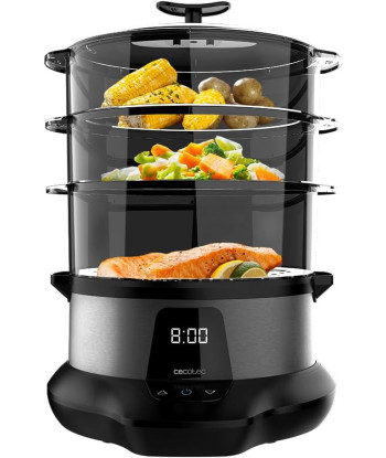 Cecotec Vapovita 3000 Pro auruti 1000W