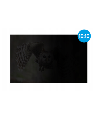 Natec | Privacy Filter Owl, 14", 16:10 | NFP-2477