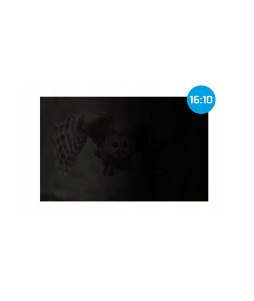 Natec | Privacy Filter Owl, 14", 16:10 | NFP-2477