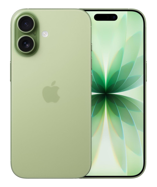 IPHONE 17/256GB SAGE MG6N4 APPLE