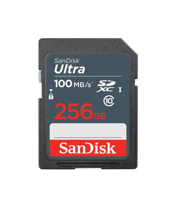 MEMORY SDXC 256GB UHS-I/SDSDUNR-256G-GN3IN SANDISK