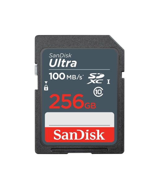MEMORY SDXC 256GB UHS-I/SDSDUNR-256G-GN3IN SANDISK