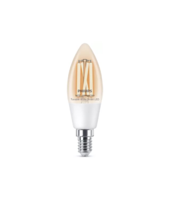 Philips Smart WFB 40W C35 E14 927-65 CL 1PF/6 | Philips Smart