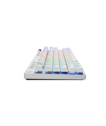 Logitech G PRO X TKL Wireless Gaming Keyboard, White