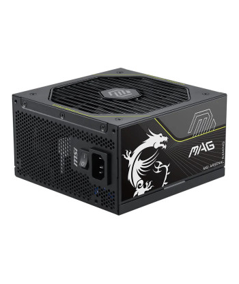 Power Supply MSI MAG A1000PLS PCIE5 ATX PC 100 - 240 V 1000 W MAGA1000PLSPCIE5