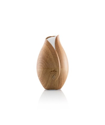 ETA Aroma diffuser Aria ETA463490000 Ultrasonic, Suitable for rooms up to 25 m³, Wood