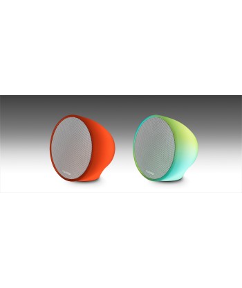 Muse ML-655 BT Portable Bluetooth Speaker