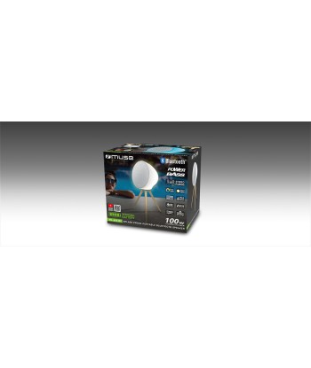 Muse ML-655 BT Portable Bluetooth Speaker