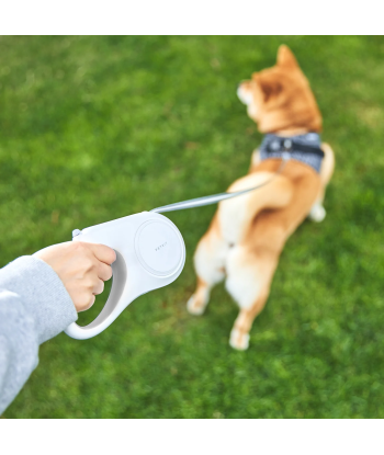 PETKIT GO Free Retractable Dog Leash P2104 - White