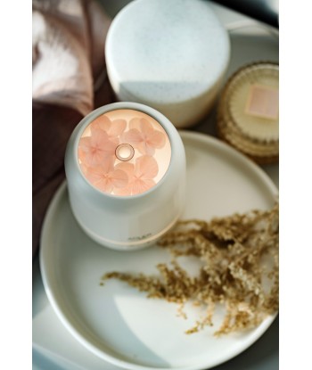 Adler Ultrasonic aroma diffuser 3in1 	AD 7968 Ultrasonic, Suitable for rooms up to 25 m², White