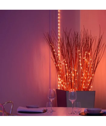 Twinkly Dots RGB LED valgustid 60 (3m, USB, must) - mitmevärviline maagia!
