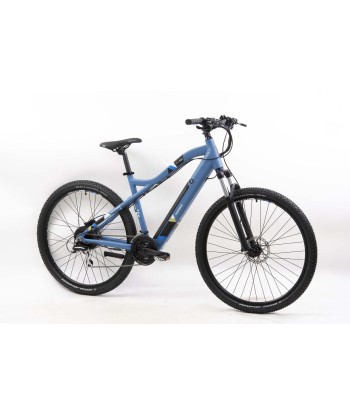 Telefunken MTB E-Bike Aufsteiger M922, Wheel size 29 ", Warranty 24 month(s), Blue