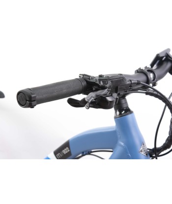 Telefunken MTB E-Bike Aufsteiger M922, Wheel size 29 ", Warranty 24 month(s), Blue