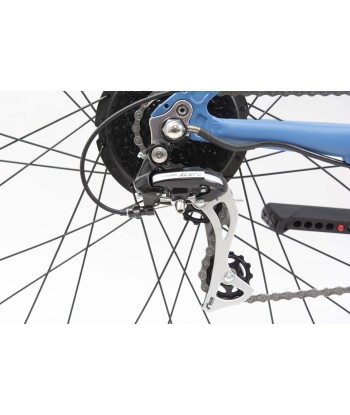 Telefunken MTB E-Bike Aufsteiger M922, Wheel size 29 ", Warranty 24 month(s), Blue