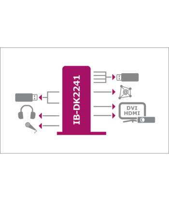 Raidsonic ICY BOX IB-DK2241AC USB 3.0 Док-станция