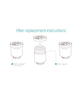 Anti-calc & Antibacterial Filter Capsules (2x) | For Beam mini | White