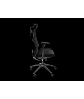 Genesis Ergonomic Chair Astat 200 Black