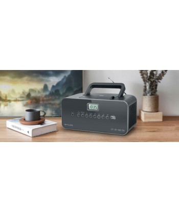 Muse Portable radio M-28DG USB port, AUX in,