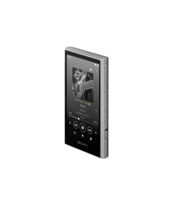 Sony NW-A306 Walkman A Series Portable Audio Player 32GB, Black