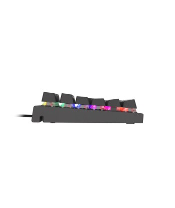 Механическая игровая клавиатура Genesis Thor 303 - RGB, US раскладка