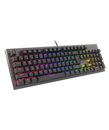 Механическая игровая клавиатура Genesis Thor 303 - RGB, US раскладка
