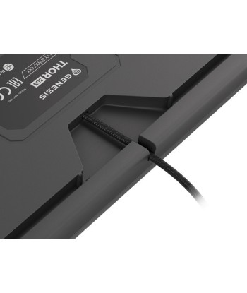 Механическая игровая клавиатура Genesis Thor 303 - RGB, US раскладка