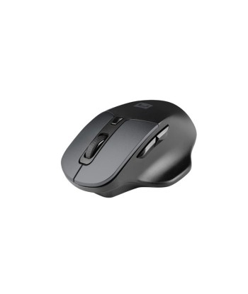 Arvutihiir Natec, BlackBird 2, Silent, Wireless, 1600 DPI, Optical, Black