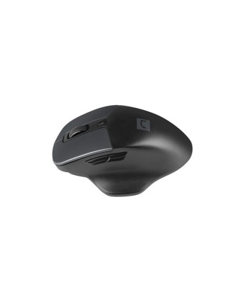 Arvutihiir Natec, BlackBird 2, Silent, Wireless, 1600 DPI, Optical, Black