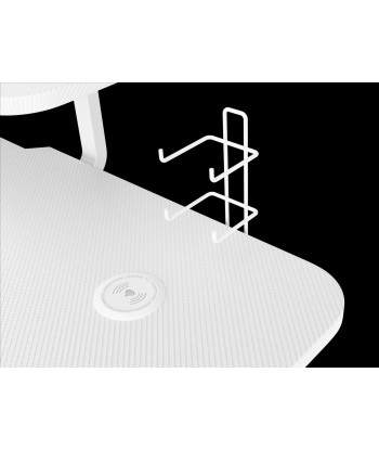 Genesis Holm 320 RGB Gaming Desk - White