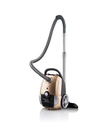 Пылесос ETA Avanto ETA351990000 Bagged, Power 700 W, Dust capacity 3 L, Golden