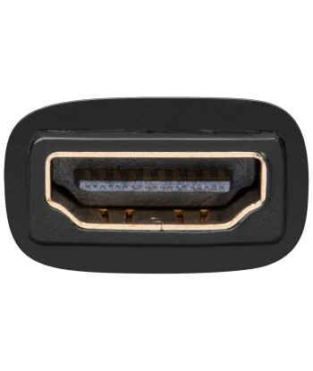 Goobay HDMI to DVI-I Adapter, Gold-Plated