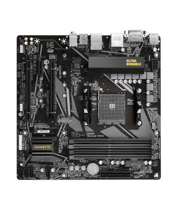 Gigabyte B550M DS3H 1.0 Processor family AMD, Processor socket AM4, DDR4 DIMM, Memory slots 4, Number of SATA connectors 4 x