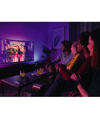 Philips Lightbar Twin Pack Hue Play 42 W, 2000-6500 Hue White Color Ambiance