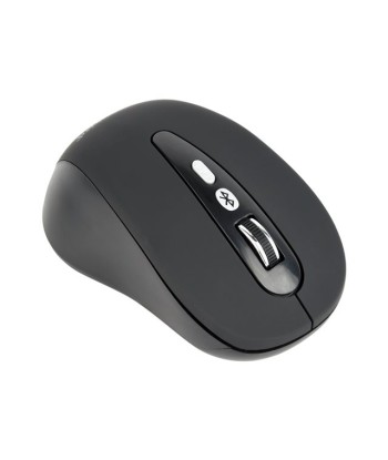 Gembird 6-button wireless optical mouse MUSW-6B-01 USB, Black