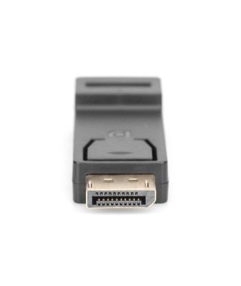 Digitus DisplayPort to HDMI Adapter - Seamless Connection to Your HDMI Display