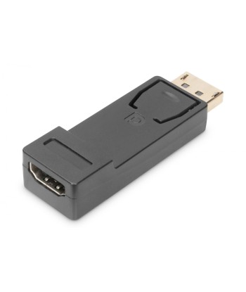 Digitus DisplayPort to HDMI Adapter - Seamless Connection to Your HDMI Display