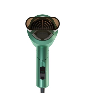 Föön Adler AD 2265 1100 W, Number of temperature settings 2, Green