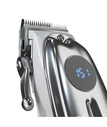 Adler Professional Juukselõikur AD 2831 - Juhtmeta/Juhtmega, 6 Pikkusastet, Hõbedane