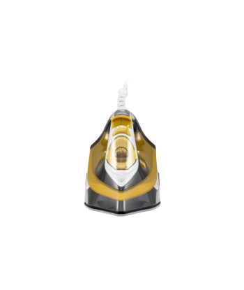 ?Camry Iron CR 5029, 2400 W, Continuous steam 40 g/min, Steam boost performance 70 g/min, White/Black/Gold