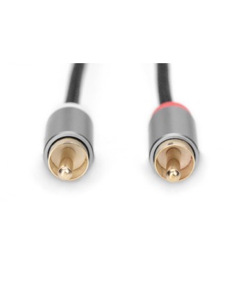 Digitus 3.5mm to 2x RCA helikaabel - 1.8m