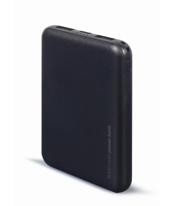 Gembird PB05-02 Power Bank 5000mAh Черный