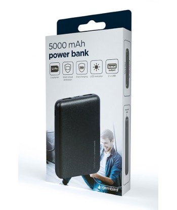 Gembird PB05-02 Power Bank 5000mAh Черный