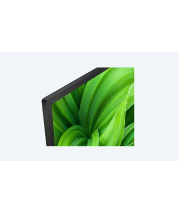 Sony KD32W800P 32" (80 cm) Full HD Smart Android LED TV