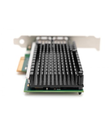 Digitus 10Gbps kahe pordiga Ethernet serveri adapter PCIe X8, Intel X540-BT2 (DN-10163)